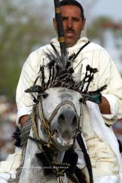 Image du Maroc Professionnelle de  Course typiquement marocaine dite ''la Fantasia'' organisé pendant les festivités de la circoncision du Prince héritier Moulay El Hassan, fils du roi Mohammed VI du Maroc, à Fès, Jeudi 14 avril 2005. (Photo / Abdeljalil Bounhar)



